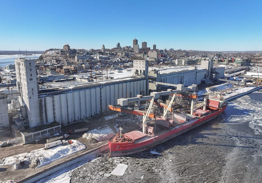 Зерновой терминал в морском порту — агроэкспортная инфраструктура